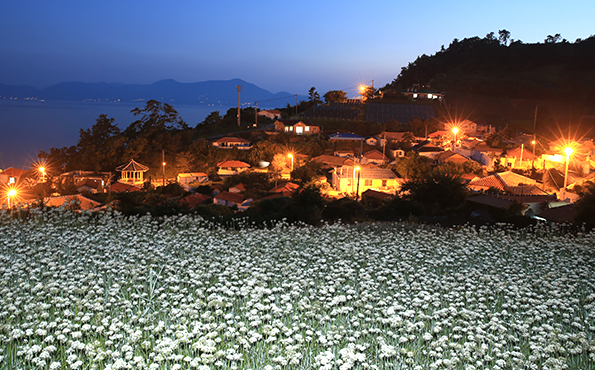 꽃이 가득한 꽃밭아래로 보이는 아름다운 마을 야경
