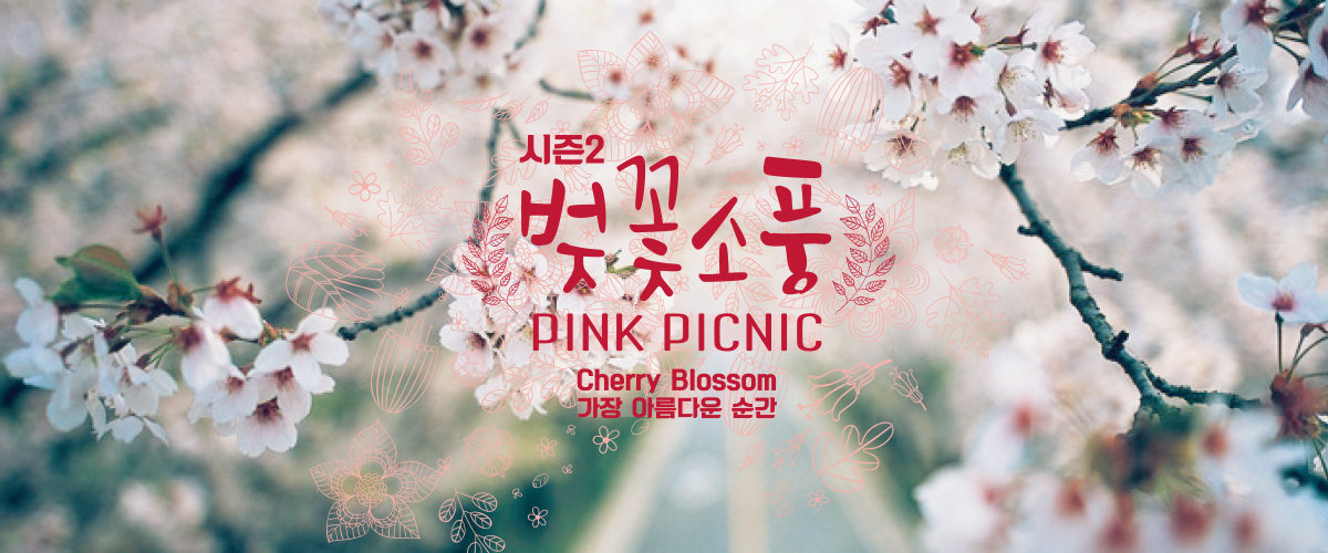 시즌2 벚꽃소풍 PINK PICNIC, Cherry Blossom, 가장 아름다운 순간