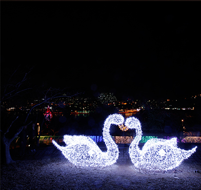 돌산공원 빛노리아의 하얗게 빛나는 한쌍의 백조 조형물