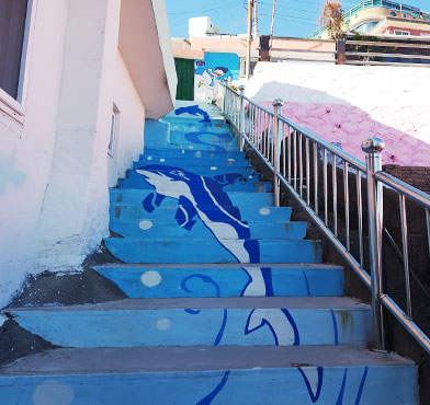 바닷속 돌고래 그림이 있는 계단