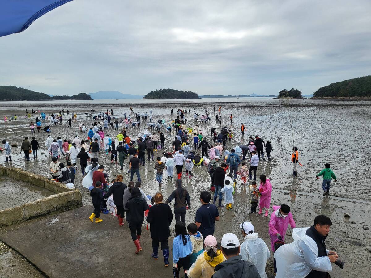 2022년 여수여자만갯벌노을체험행사