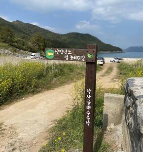 낭도유채꽃