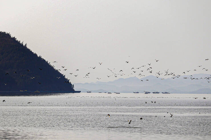 봉두길(남파랑길)