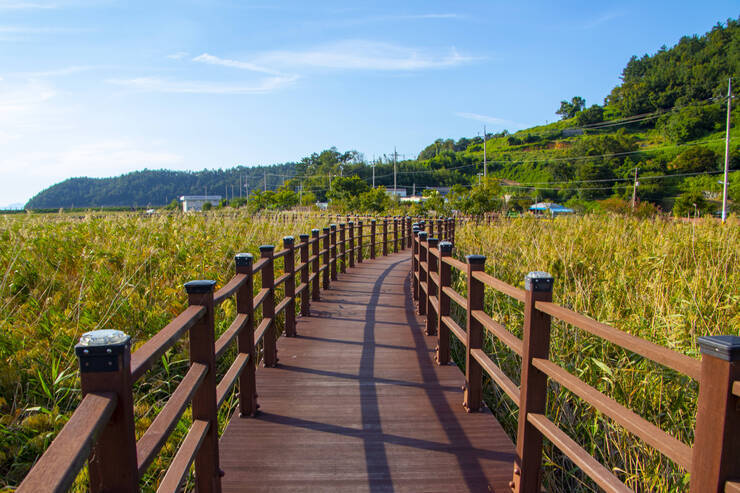 가사리생태공원