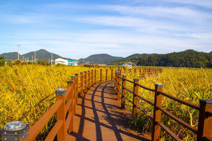 가사리생태공원