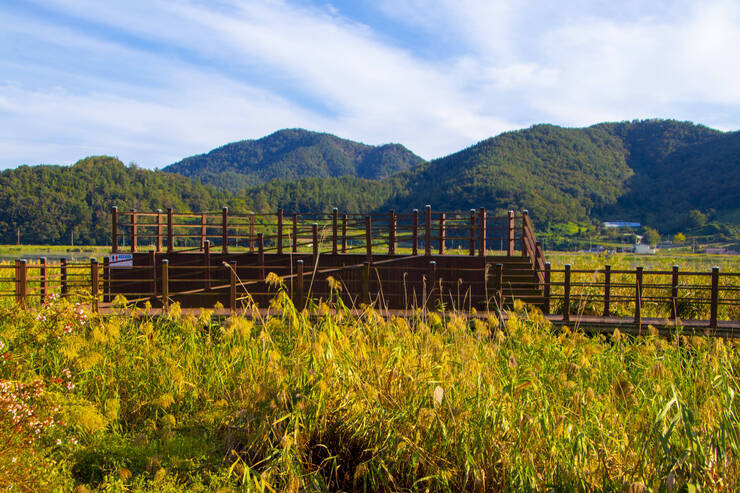 가사리생태공원