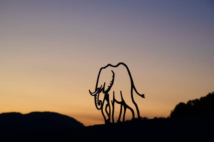DSD_5338 복사.jpg