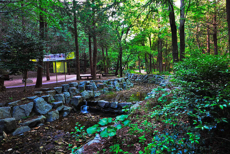미평산림욕장_15.jpg