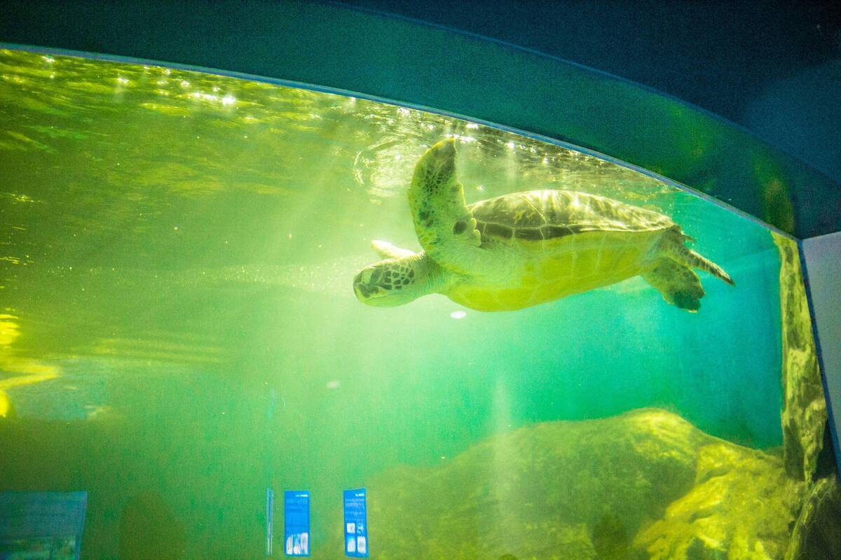 여수해양수산과학관