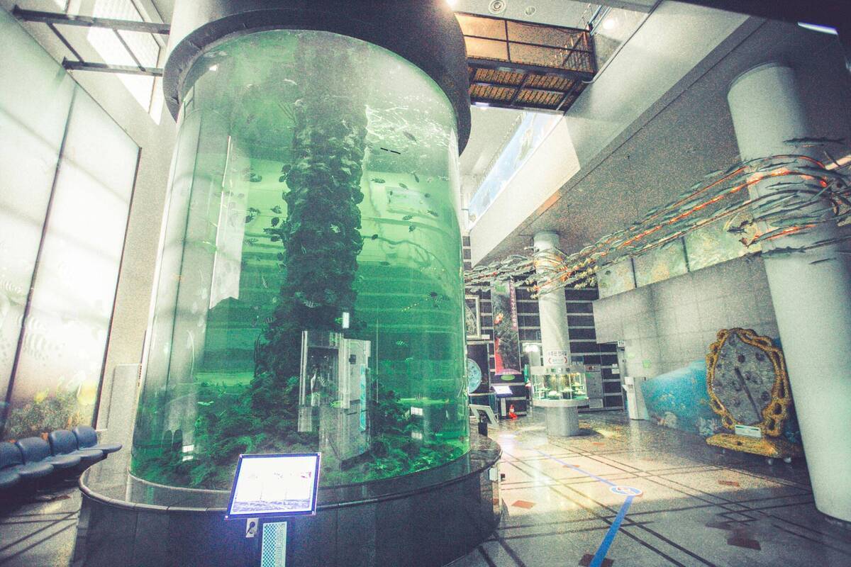 여수해양수산과학관