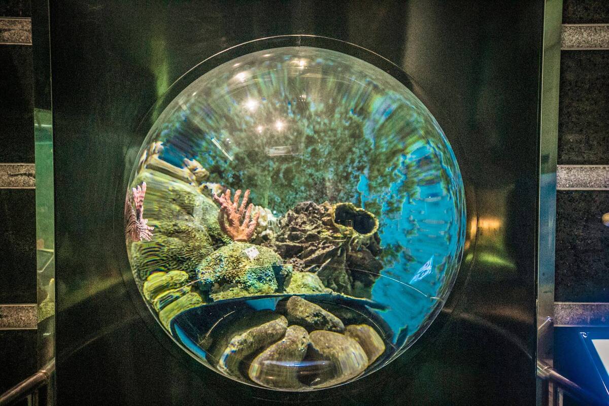 여수해양수산과학관