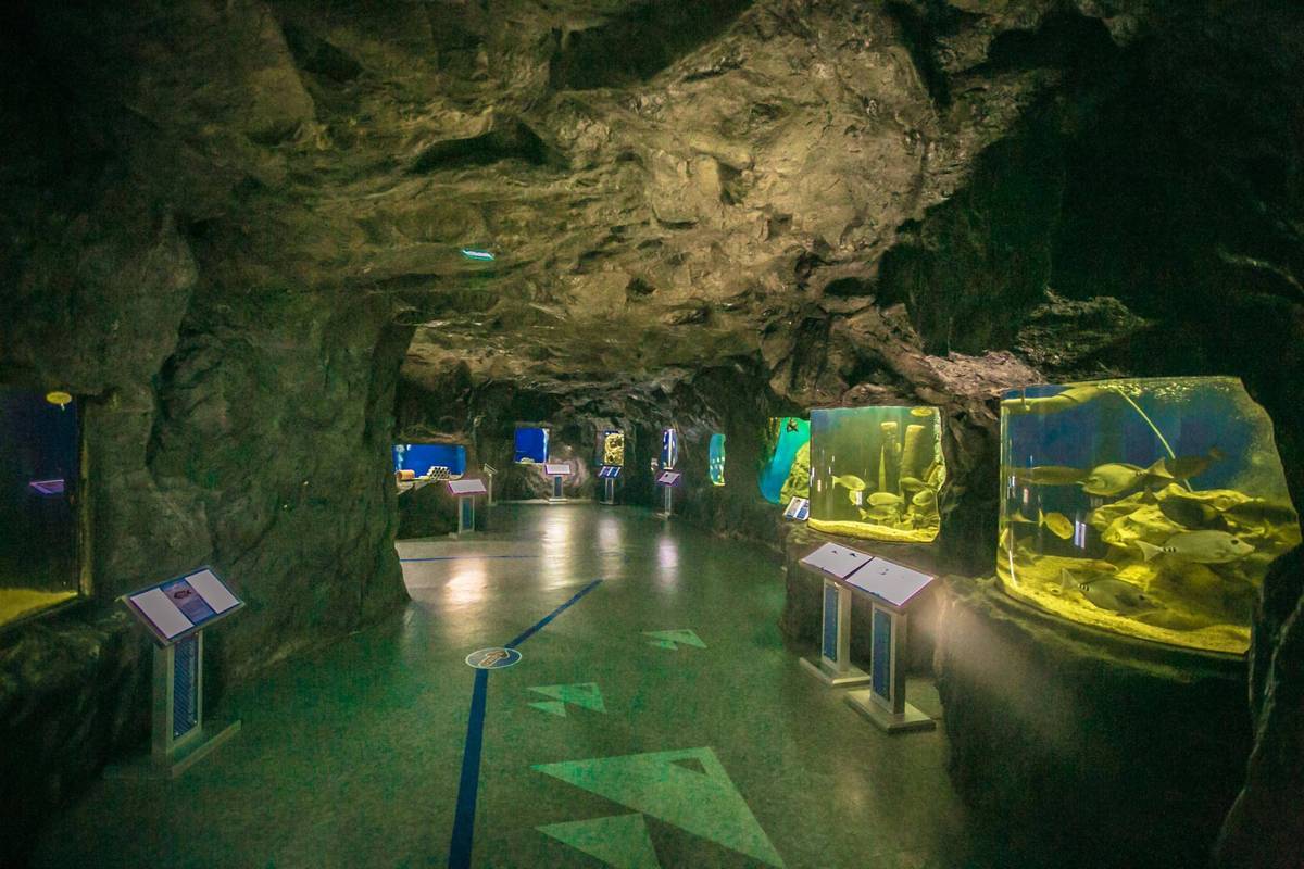 여수해양수산과학관