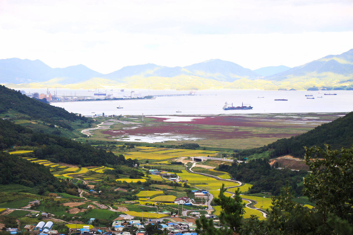 묘도봉화산전망대_1