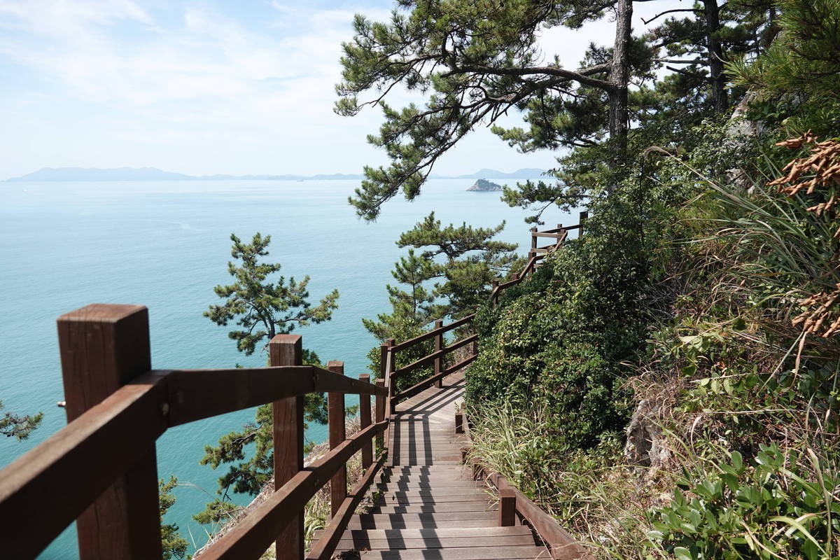 꽃섬다리 가는길