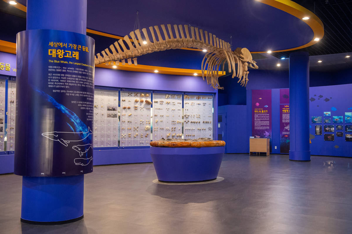 해양수산과학관3