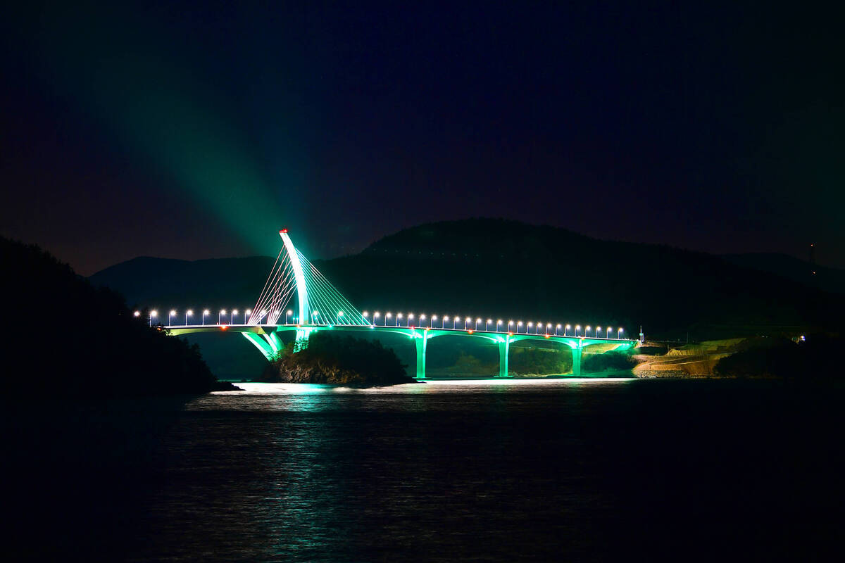 둔병대교 야경7