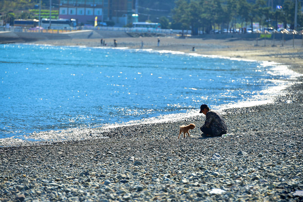 만성리 검은모래해변