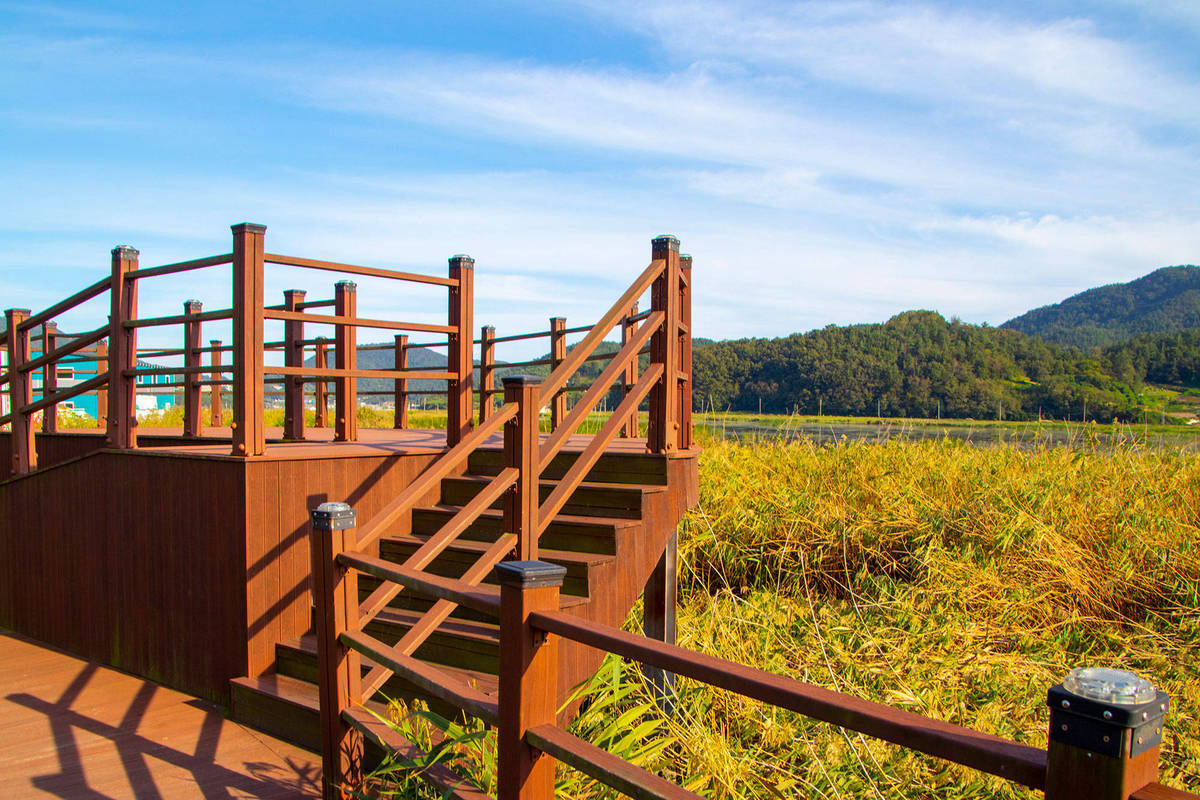 가사리생태공원  같대받