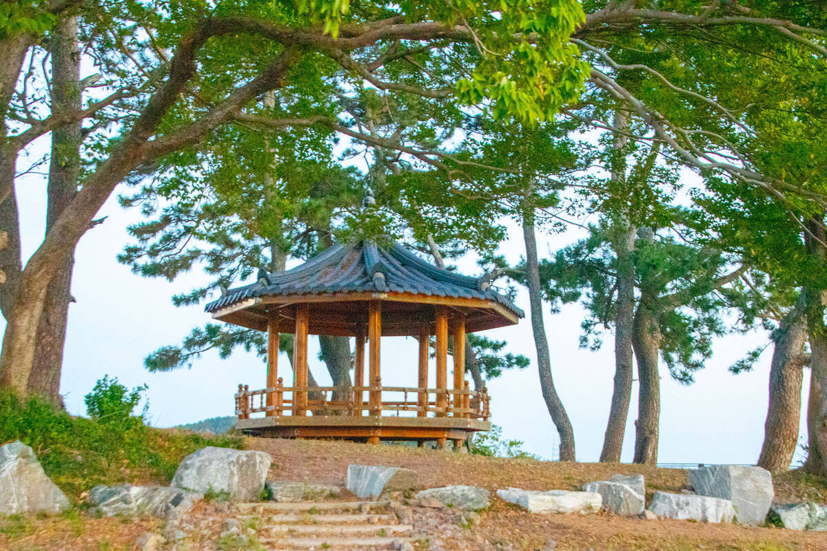 정자 전경