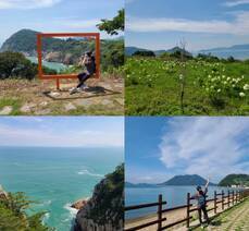 섬트레킹 초보자가 아름다운 꽃섬을 즐기고 싶다면, '하화도 꽃섬길'