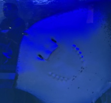 첫 여수 여행 대성공 !!