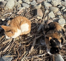 첫 여수 여행 대성공 !!