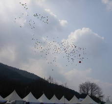 제25회 영취산진달래축제(풍선날리기)