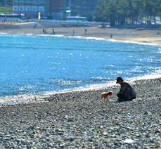 만성리 검은모래해변