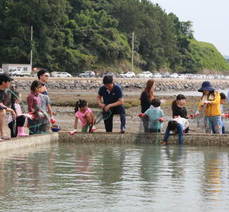 제10회 여수 여자만 갯벌노을체험행사(맨손 고기잡기 체험)