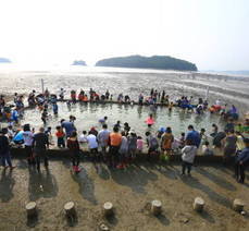제10회 여수 여자만 갯벌노을체험행사(맨손 고기잡기 체험)