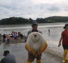 2023년 여수여자만갯벌노을체험행사