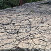 금오산 거북등모형바위 사진