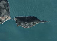 딴섬(화정면 월호리)