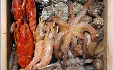 모듬해물편백찜