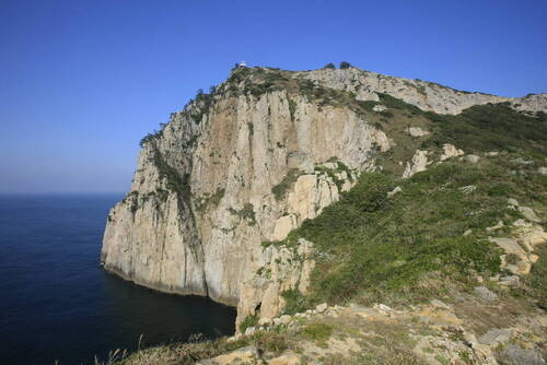 상백도 (백도)의 2번째 이미지
