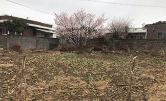 주삼지구