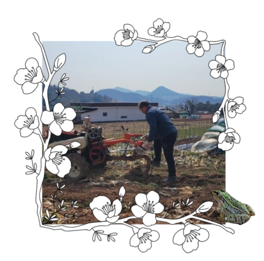 [250307]마을 공유 텃밭(흙 뒤집기)