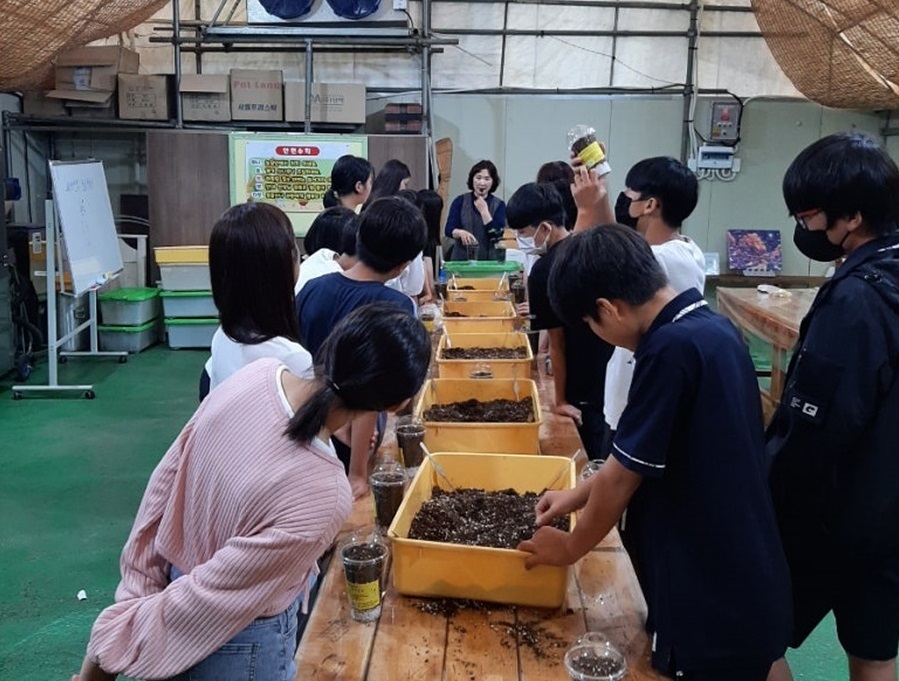 학생들이 실내에서 선생님의 지도 아래 여러 개의 노란 통에서 흙을 만지고 있는 모습이다.