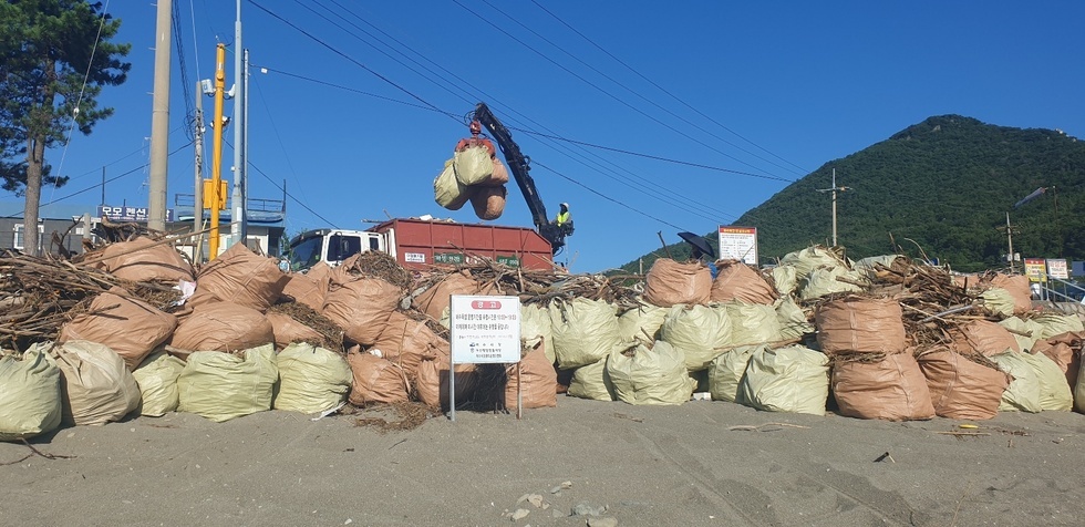 집중호우로 해안가에 쌓인 해양쓰레기를 대형 자루에 담아 크레인으로 옮기는 모습