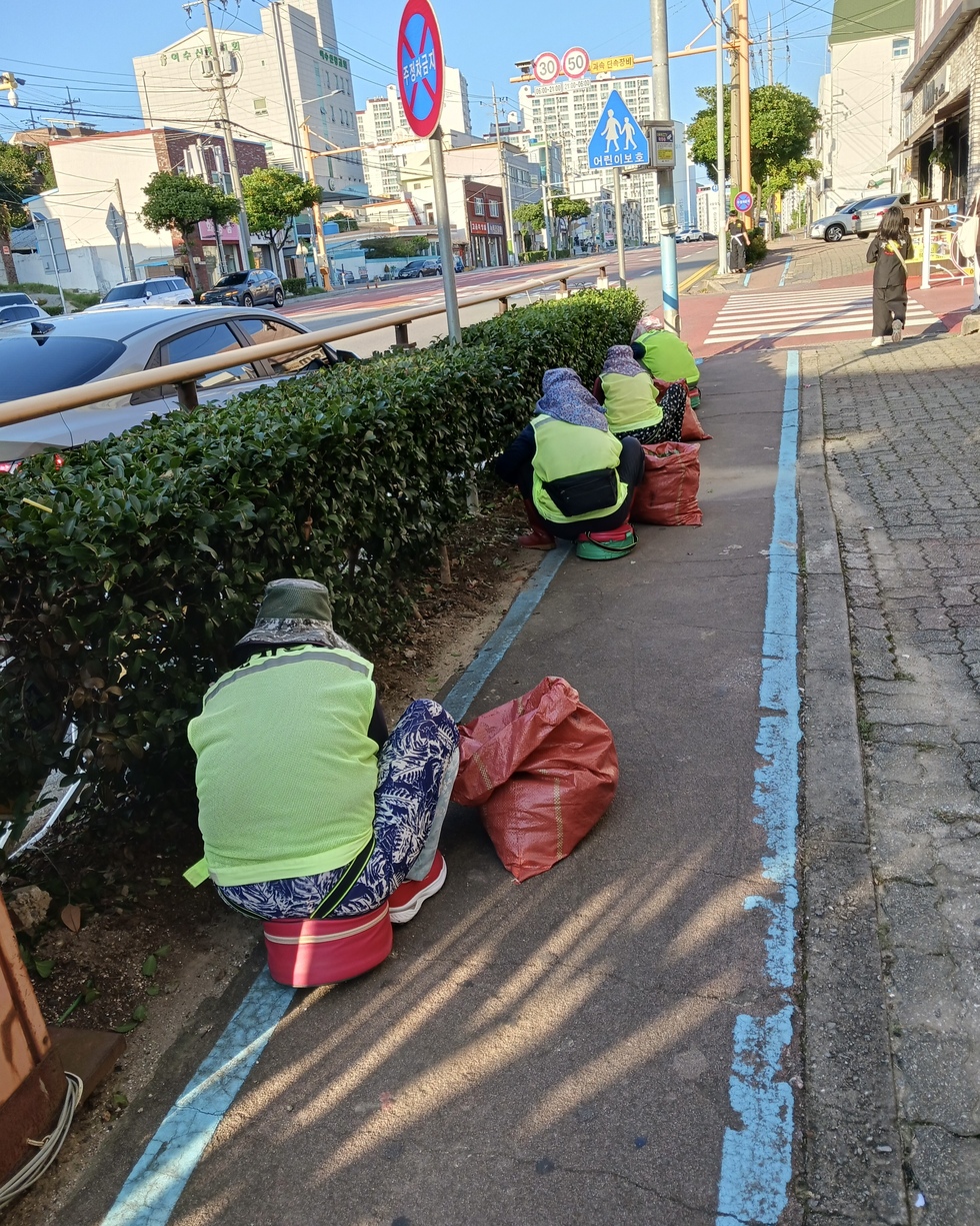 여수시, 노인역량활용 선도모델 사업 2년 연속 성과 - 복지 뉴스 | 코리아NEWS