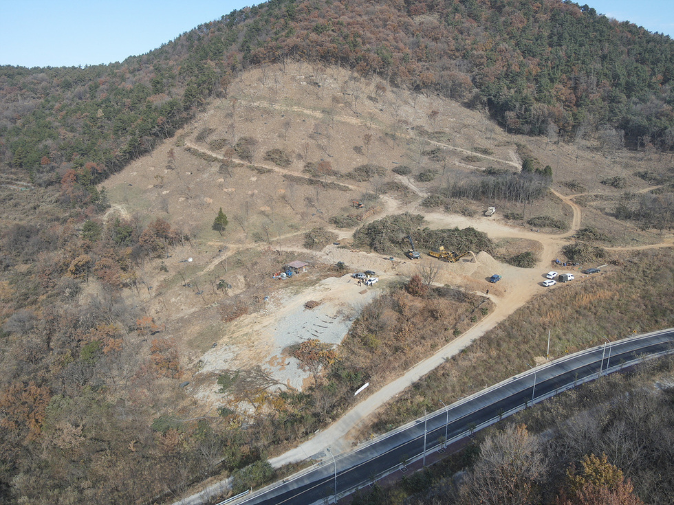 산불·재선충병 대응력 강화…여수시, 80ha 규모 조림사업 추진 - 행정 | 코리아NEWS