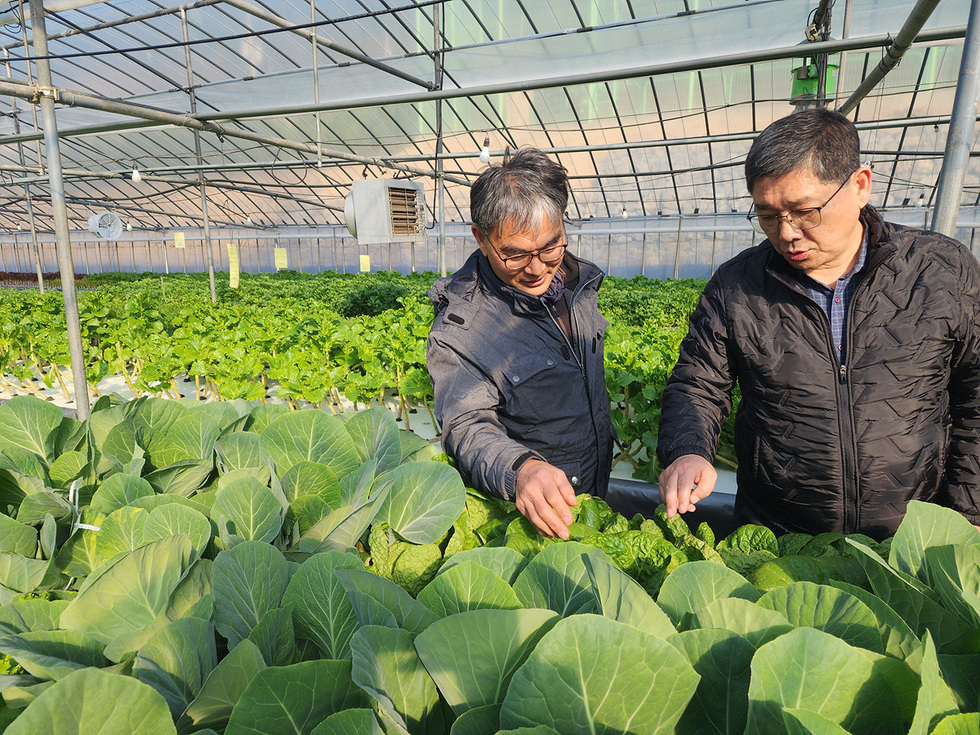 8-2 여수시, 학교급식 여수산 친환경농산물 생산 기반 확대 나선다.jpg