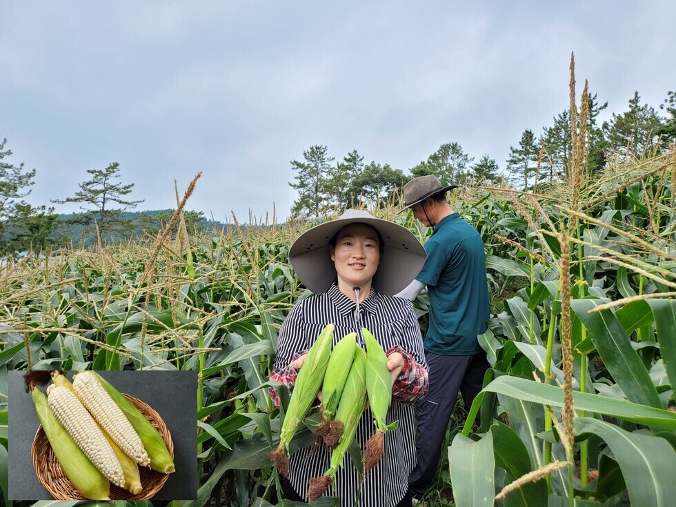 찰옥수수를 들고있는 시민의 모습