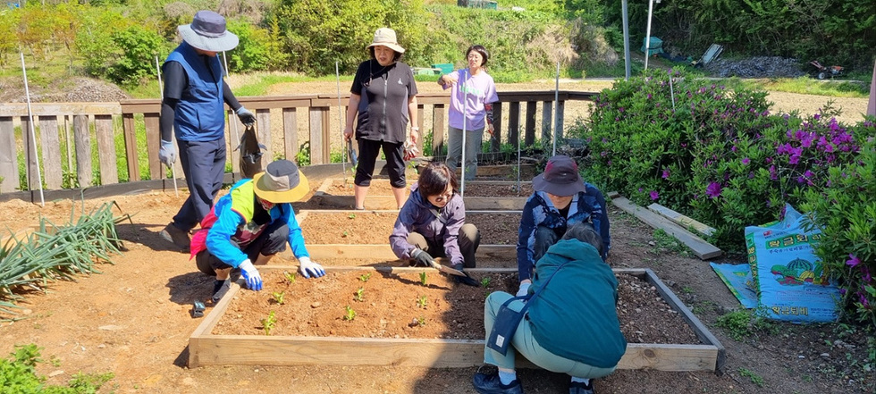 여러 사람이 텃밭에서 식물을 심고 있는 모습이다. 한 남성과 여성이 흙을 파고 있고, 다른 사람들이 주변에서 지켜보거나 도와주고 있다.
