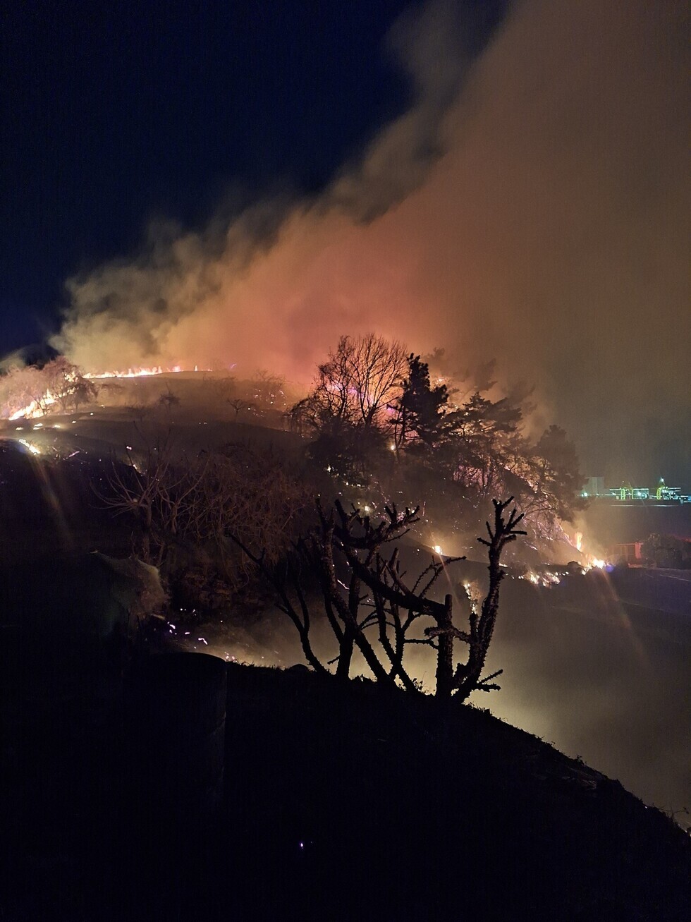 산불