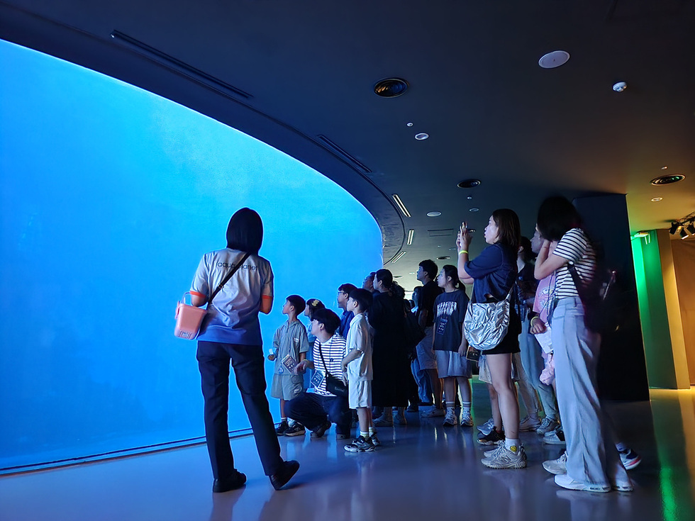 4 여수의 밤을 걷다… ‘아쿠아리움과 함께하는 한밤의 산책’ 참여자 모집.jpg