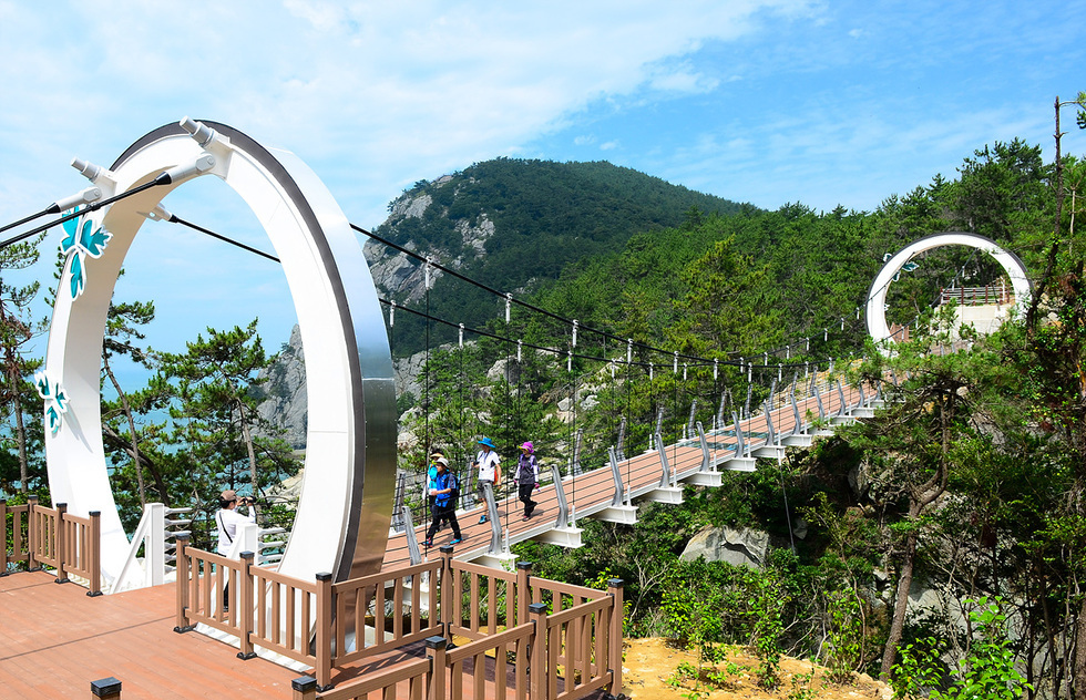 【企划】“连通比棱路”，建设丽水金鳌岛海上大桥……宿愿成真