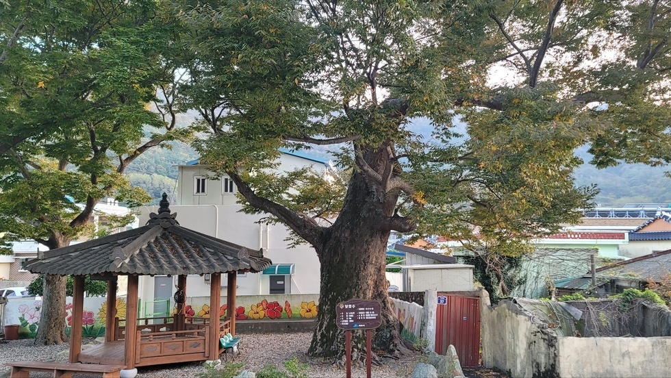 Expo2026WorldIslandExhibitionYeosuKorea:ASpecialEncounter